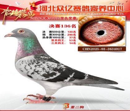 河北众亿寄养中心2026春季136名