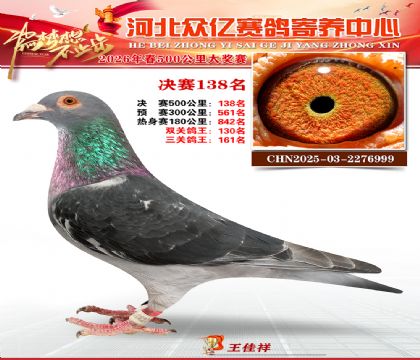 河北众亿寄养中心2026春季138名