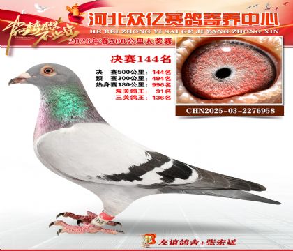 河北众亿寄养中心2026春季144名