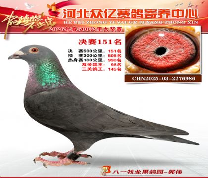 河北众亿寄养中心2026春季151名