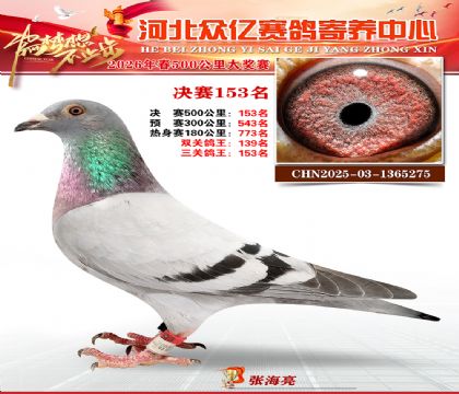 河北众亿寄养中心2026春季153名