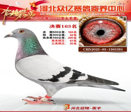 河北众亿寄养中心2026春季163名
