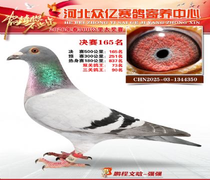 河北众亿寄养中心2026春季165名