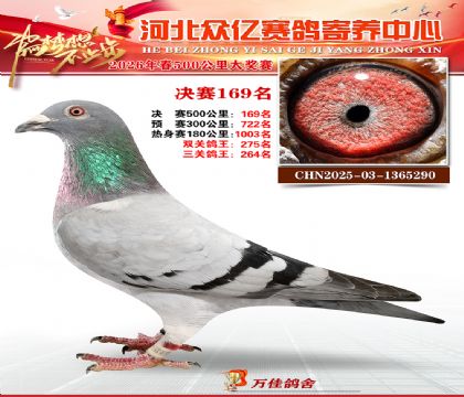 河北众亿寄养中心2026春季169名