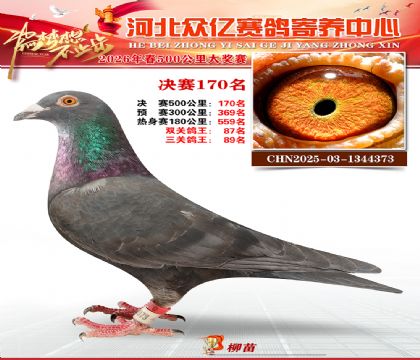 河北众亿寄养中心2026春季170名
