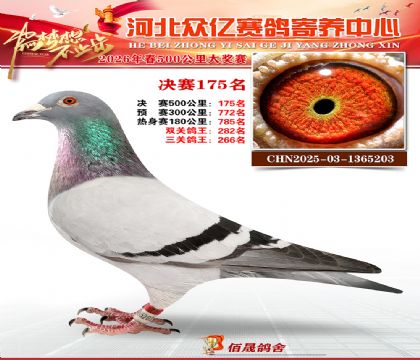 河北众亿寄养中心2026春季175名