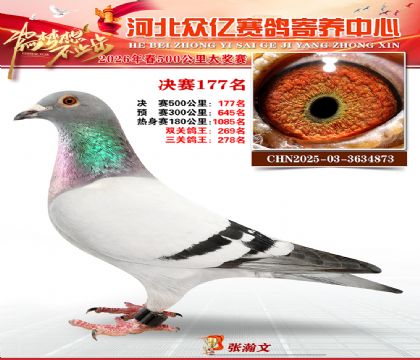 河北众亿寄养中心2026春季177名