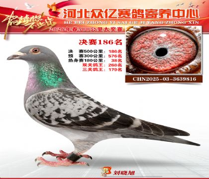 河北众亿寄养中心2026春季186名