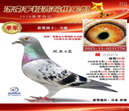特比季军双关4名