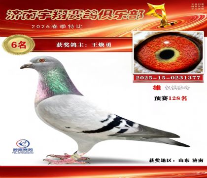 特比6名