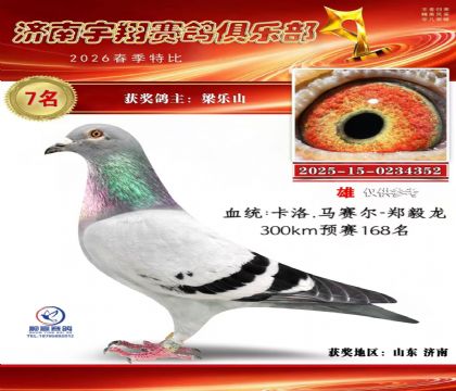特比7名