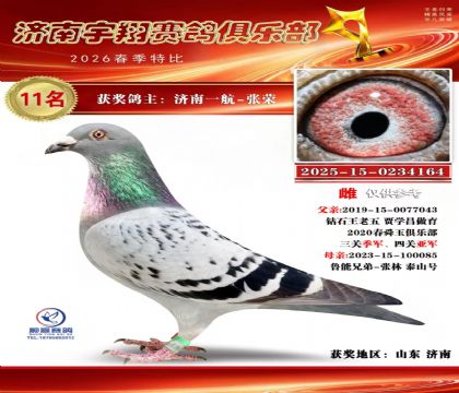 特比11名