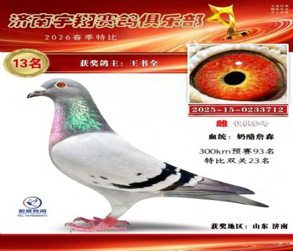 特比13名