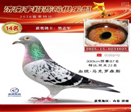 特比14名