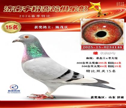 特比15名