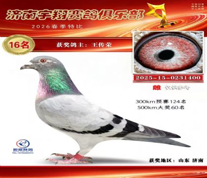 特比16名