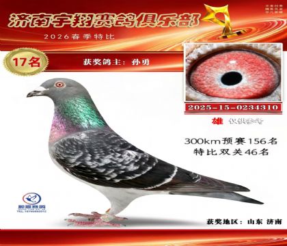 特比17名