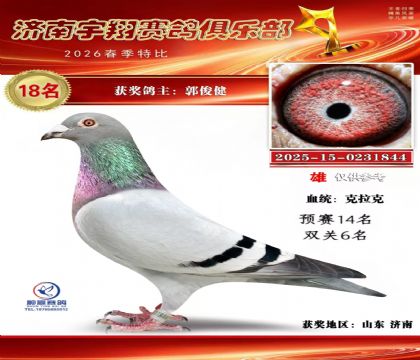 特比18双关6名