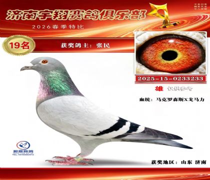特比19名