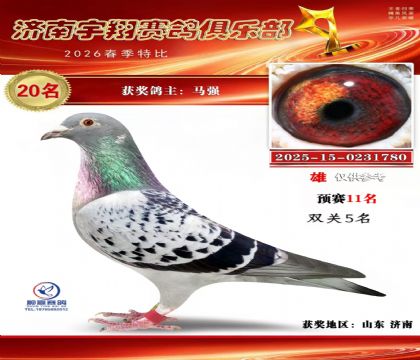 特比20双关5名