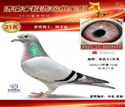 特比21名