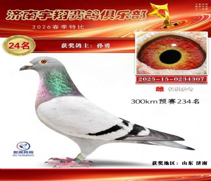 特比24名