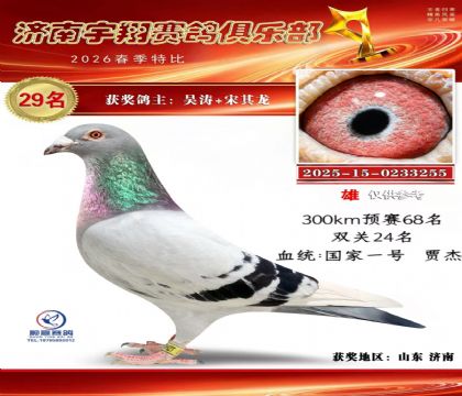 特比29名