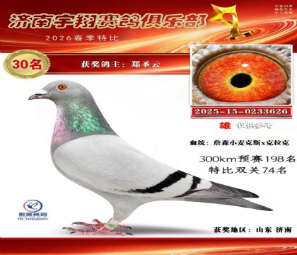 特比30名