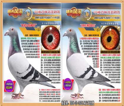 11��ھ�ֱ����11��ھ�ֱŮ����.ƽ����500����ھ�