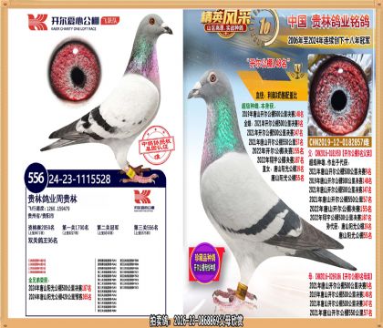 ��������ھ�ֱŮ.ƽ��������Ǿ���ʮ��.Ӯ������