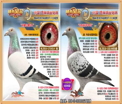 �����о�������ھ�ֱŮ
