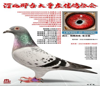 ��Ӣ�����ھ�,20�رȸ����ھ�