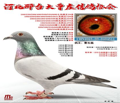 ��Ӣ�����Ǿ�,�߹ظ���28��