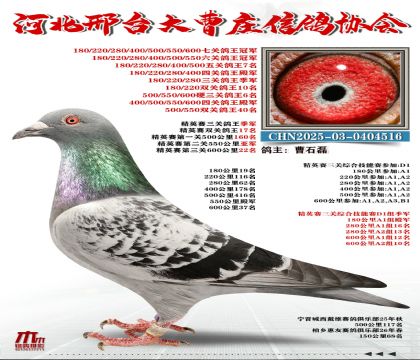 ��Ӣ��������,�߹ظ����ھ�
