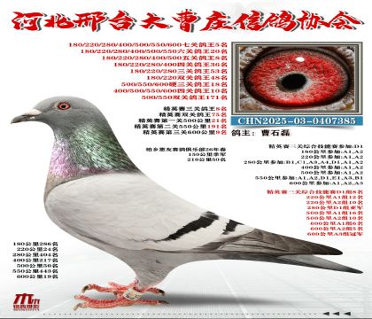 ��Ӣ����8��,�߹ظ���5��