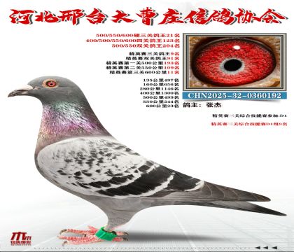 ��Ӣ����9��,Ӳ���ظ���21��