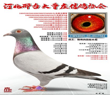 ��Ӣ����10��,�߹ظ������