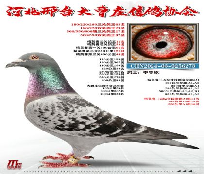��Ӣ����11��,Ӳ���ظ���27��