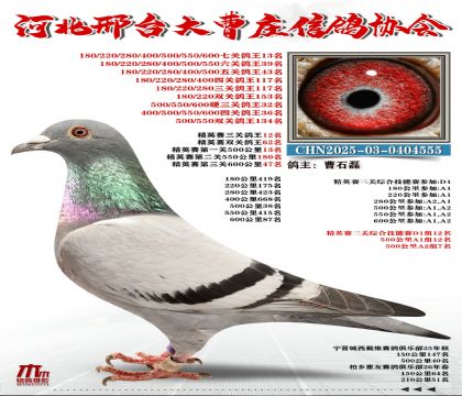 ��Ӣ����12��,�߹ظ���13��