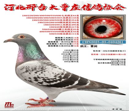 ��Ӣ����14��,Ӳ���ظ���35��