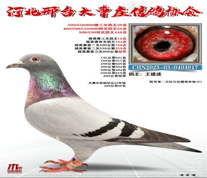 ��Ӣ����16��,Ӳ���ظ���39��,600����ھ�
