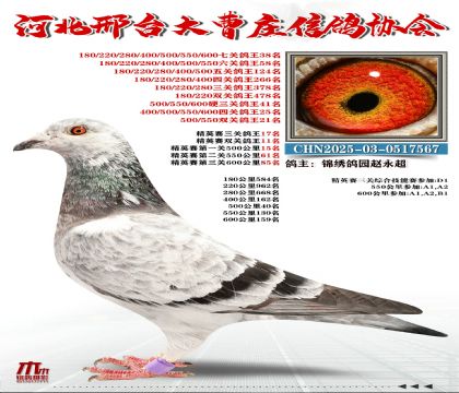 ��Ӣ����17��,Ӳ���ظ���41��