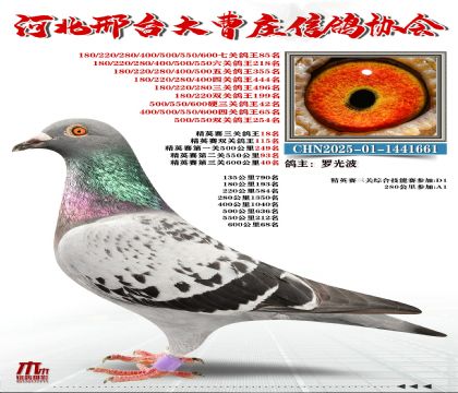 ��Ӣ����18��,Ӳ���ظ���42��
