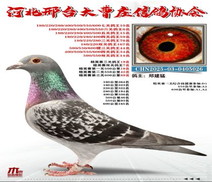 ��Ӣ����19��,�߹ظ���10��