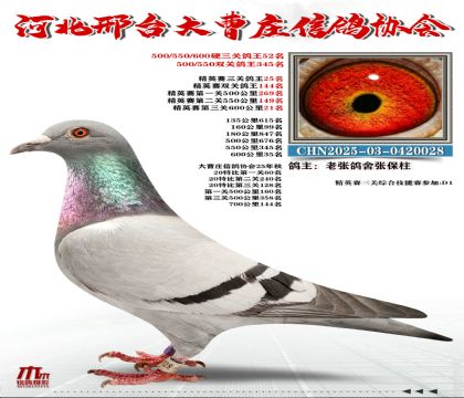 ��Ӣ����25��