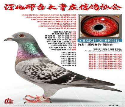 ��Ӣ����26��