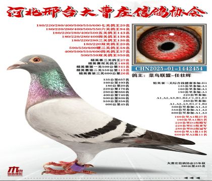 ��Ӣ����27��,�߹ظ���20��