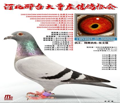 ��Ӣ����43��,20�رȸ���7��