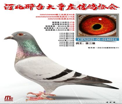 ��Ӣ����47��