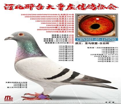��Ӣ����48��
